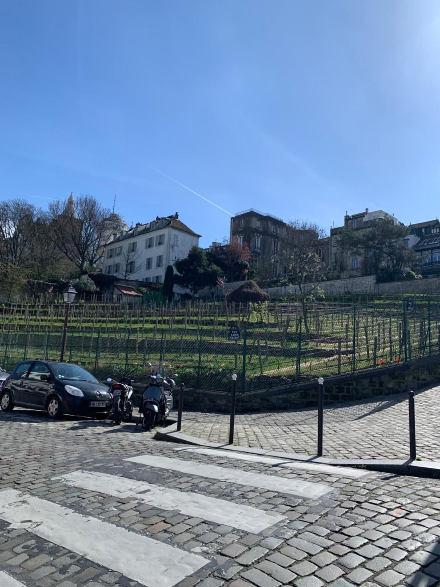 Loft Montmartre Au Pieds Des Vignes * Parijs